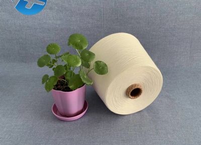 點(diǎn)擊查看詳細(xì)信息<br>標(biāo)題：腈綸紗  膨體腈綸紗 腈綸羊毛紗 腈綸棉混紡紗 閱讀次數(shù)：2811